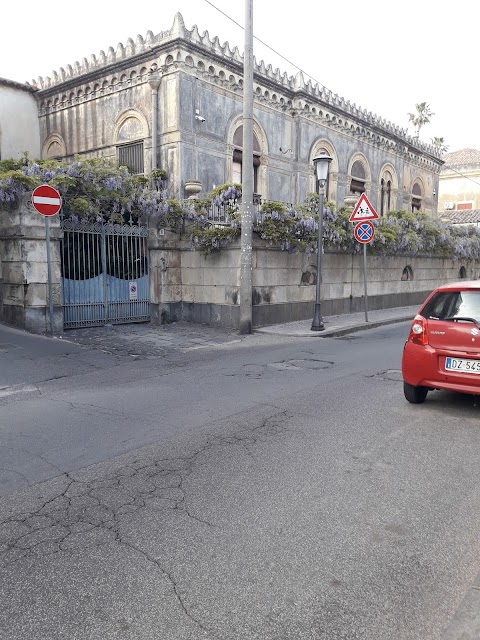 Centro Veterinario Puntese Dott.ssa Fabroni Maria Laura