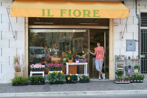 Il Fiore Di Malaguti Claudia