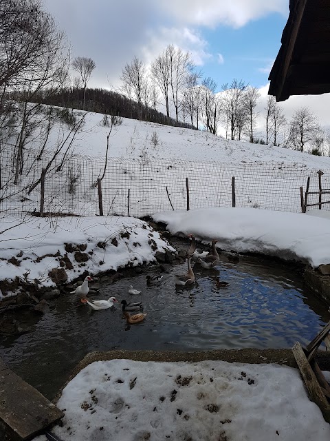 Agriturismo Alpe di Sara Fiumalbo, Ristorante per Cerimonie Fiumalbo