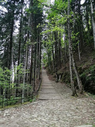 Circuito delle Cappelle Vallombrosa