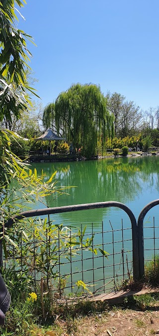 Lago dei Cigni