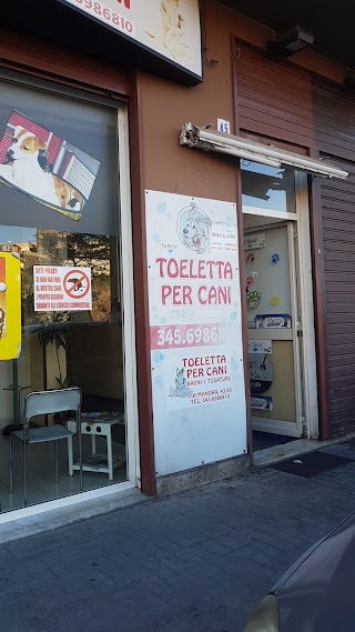 Toeletta Per Cani