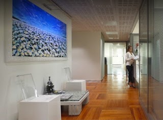 Studio Boccardielli&Partners - Consulenza Fiscale, Legale e del Lavoro