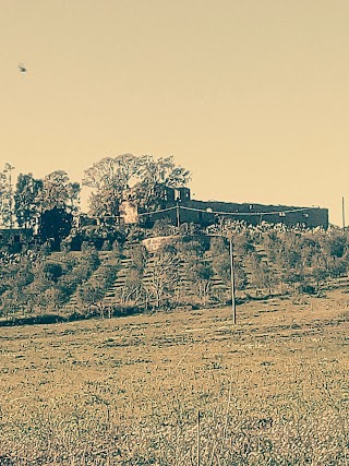 Il Villico di Foti Gianpaolo - Azienda Agricola