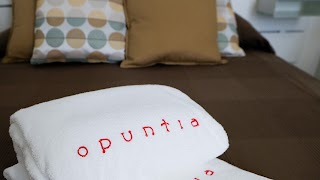 Opuntia Rooms