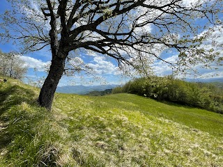 Monte Castellana