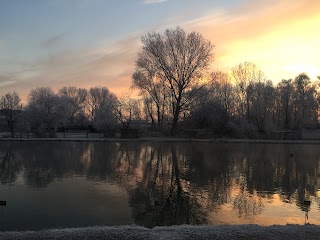 Parco dei Cigni