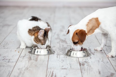 Zooagricola - Alimenti e Mangimi per Animali, Prodotti per l'Agricoltura e Giardinaggio