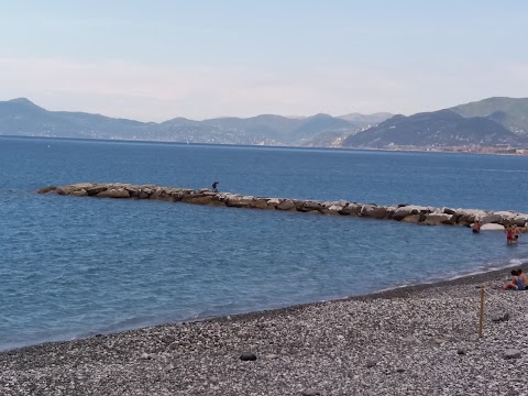 Spiaggia per cani