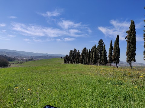 Parco Collinare di Canonica