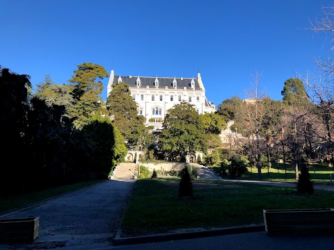 Côte d'Azur University