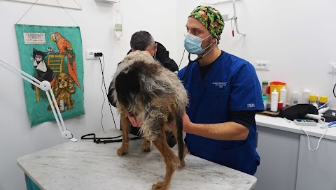 Ambulatorio Veterinario Chirignago