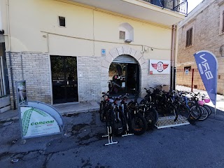 ALL BIKE di Cesareo e Giaconella Snc