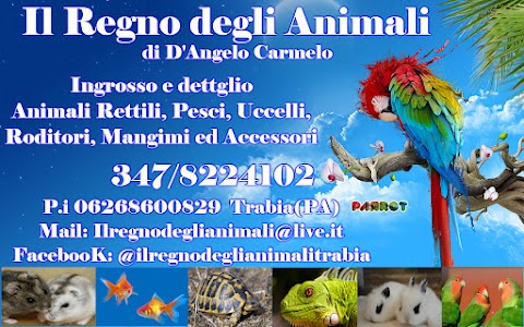 Il Regno degli Animali di D'Angelo Carmelo