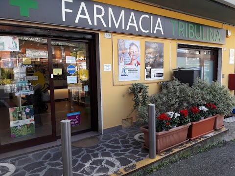 Farmacia Tribulina