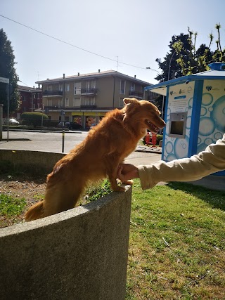 La nuova bottega S.r.l