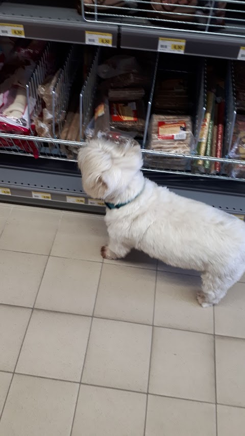 PETSTORE CONAD