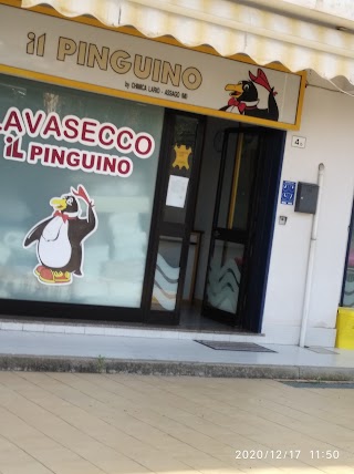 Il Pinguino Di Musarra Frannanno Daniela