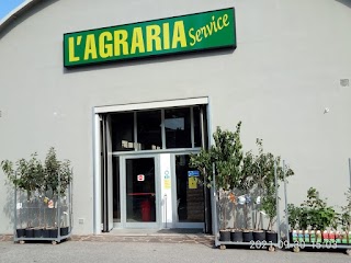 L' Agraria Service - Giardinaggio