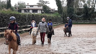 Società sportiva dilettantistica Centro Ippico Del Levante