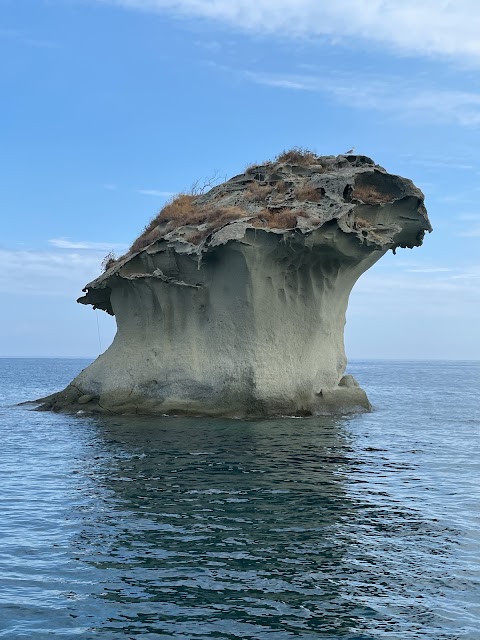 Nemo Sub | Escursioni Ischia