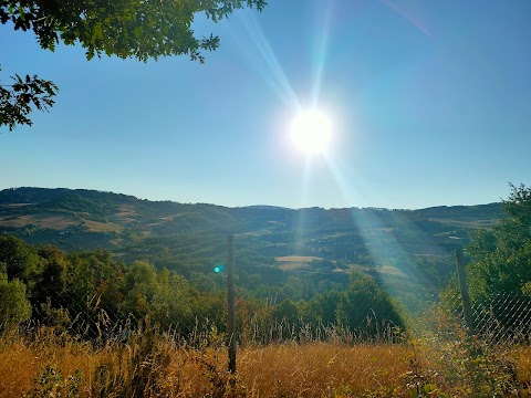 Agriturismo Il casale tosco-emiliano