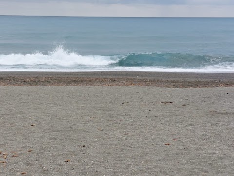 Rip Curl Store - Levanto Surf & School.