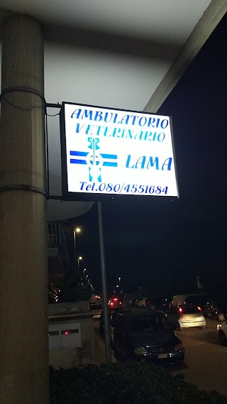 Ambulatorio Veterinario LAMA