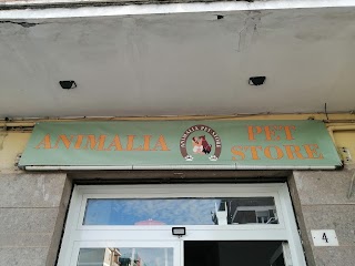 Animalia Pet Store di Roberto Mercanti