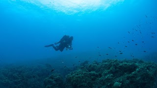 DIVING SUBINASTINENZA SCUBA TEAM