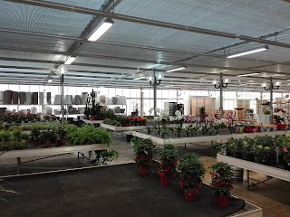 Garden Center di Marco Morotti