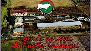 Azienda Agricola Vaudagna di Ugliono Marco