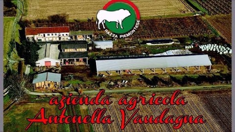 Azienda Agricola Vaudagna di Ugliono Marco