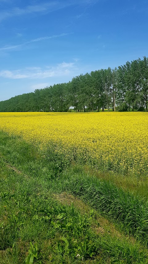 Bosco Della Bota