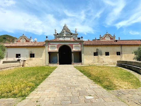 Museo di Storia Naturale dell'Università di Pisa