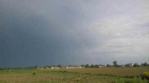 Consorzio Agrario Provinciale