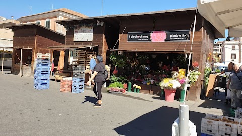 STUDIO LEGALE TAGLIANI CIVITAVECCHIA