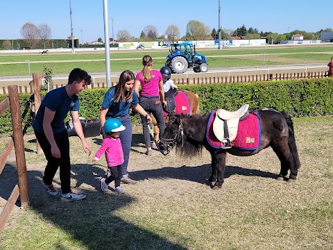 centro ippico Horse House asd