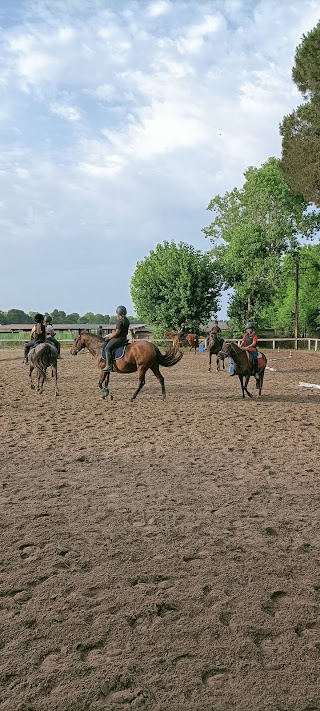 Horse Farm