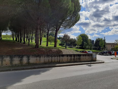 Ambulatori PAS Greve in Chianti