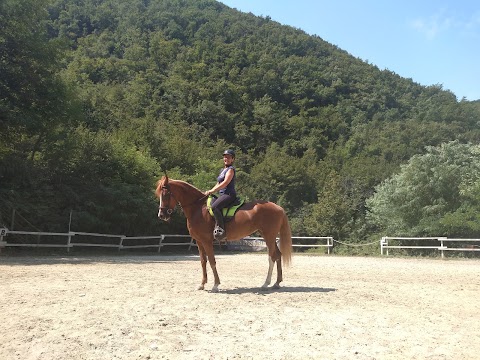 Società Ippica del Bardigiano Escursionismo Equestre