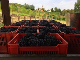 PODERI MORETTI di Moretti Francesco - azienda agricola vitivinicola
