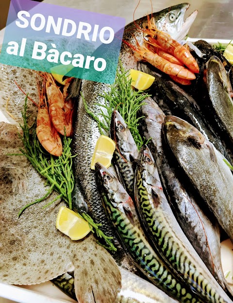 Ristorante Il Bacaro