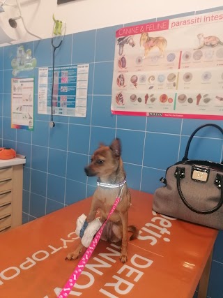 Myvet Clinica Veterinaria snc