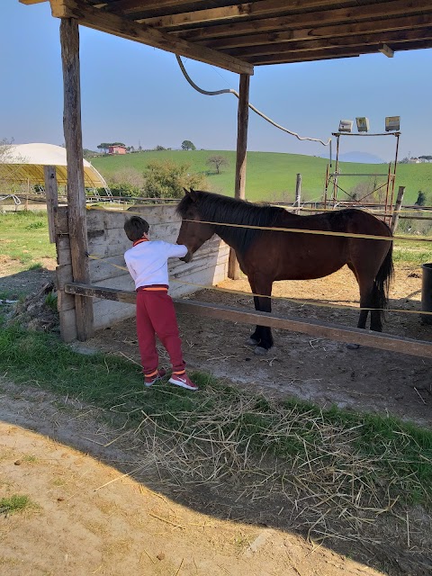 Agriturismo e Circolo Ippico La Zebra