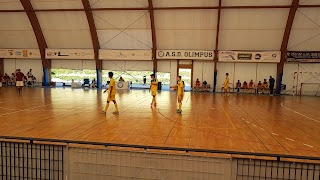 A.S.D. OLIMPUS Scuola Calcio