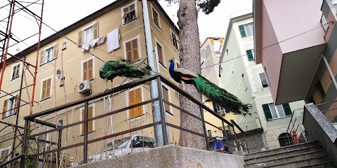 Piscina comunale Arenzano