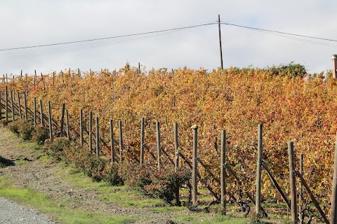 Azienda Agricola La Gioia