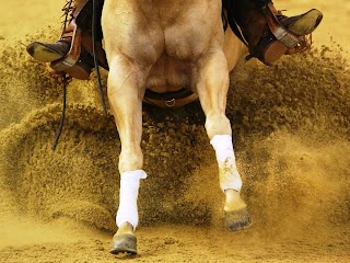 APCR Associazione Piemonte, Liguria, Valle d'Aosta Cavallo Reining Asd