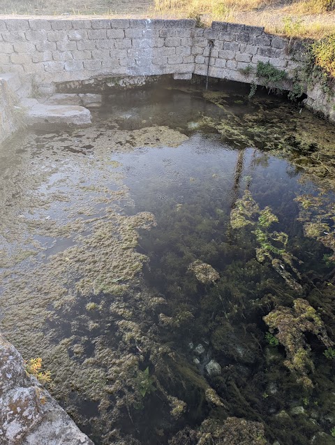 Sorgente fontana della Volpe